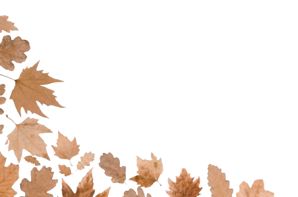 Art_4